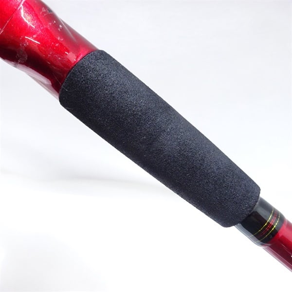 ２４アナリスターネライＭＨ－２１０